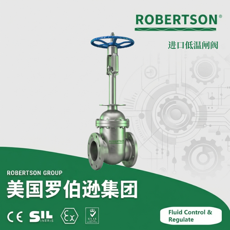 进口低温闸阀-美国罗伯逊ROBERTSON