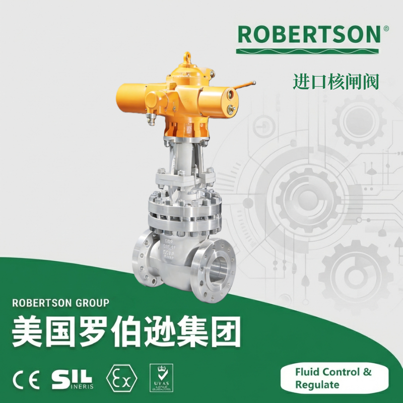 进口核闸阀-美国罗伯逊ROBERTSON
