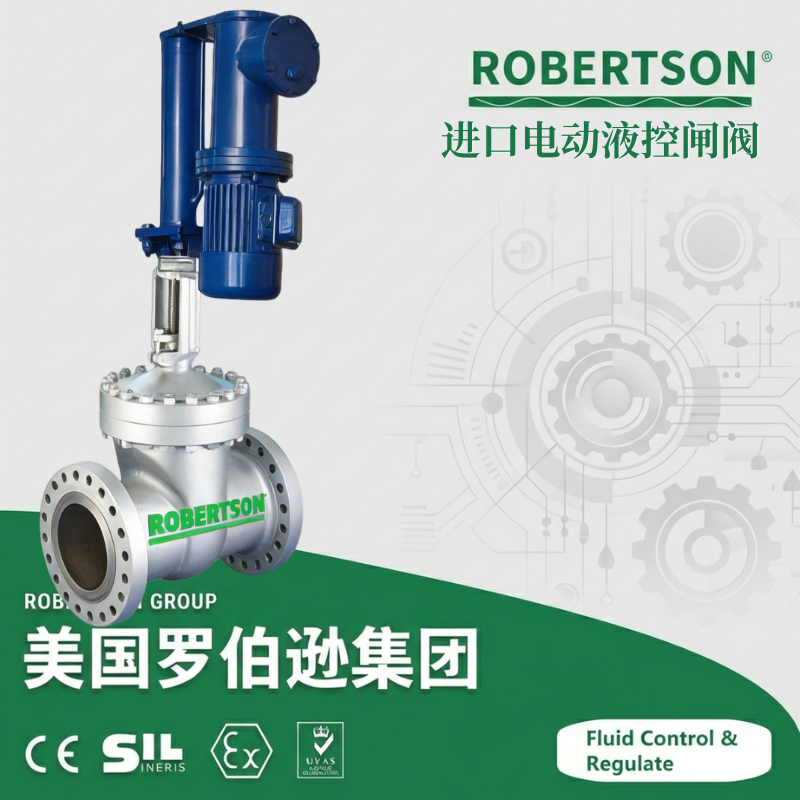 进口电动液控闸阀-美国罗伯逊ROBERTSON