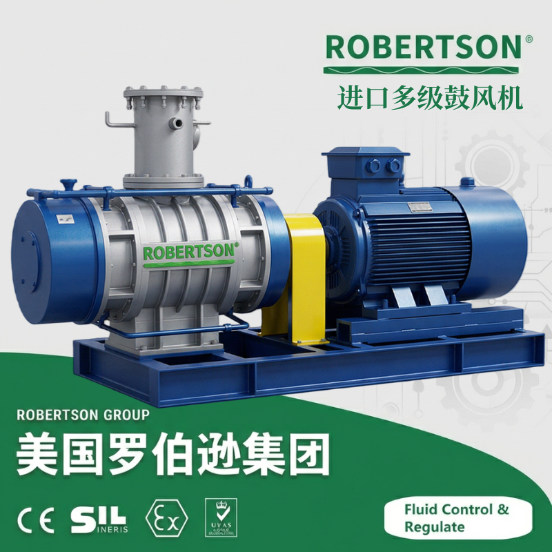 进口多级鼓风机-美国罗伯逊ROBERTSON