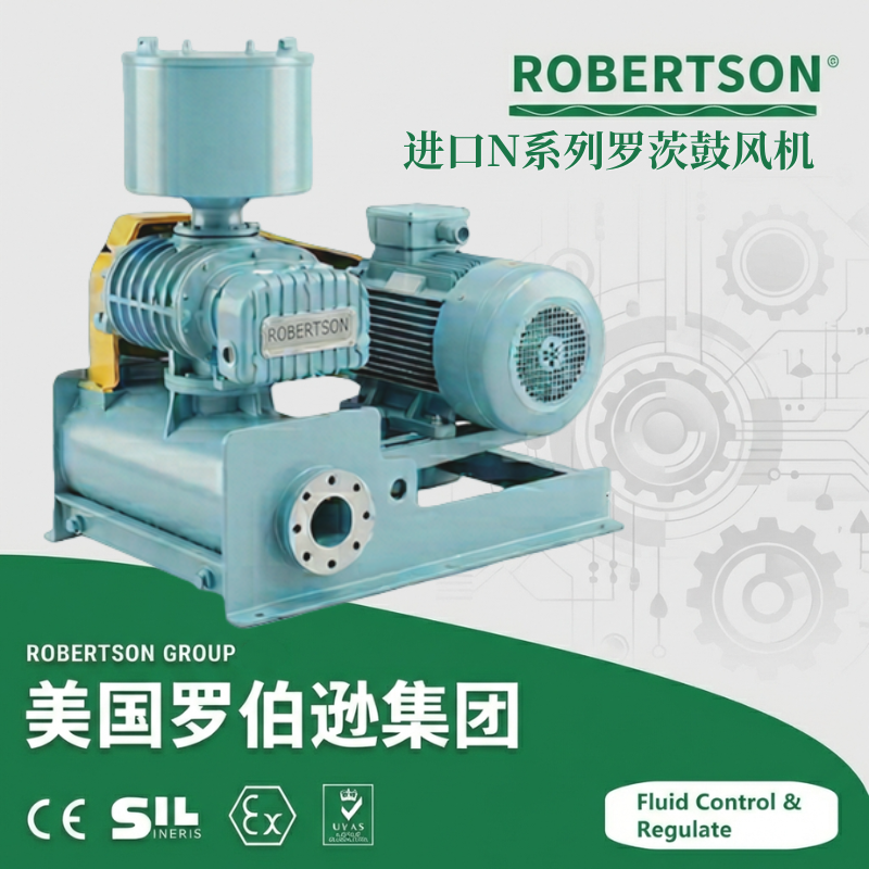 N系列罗茨鼓风机-美国罗伯逊ROBERTSON