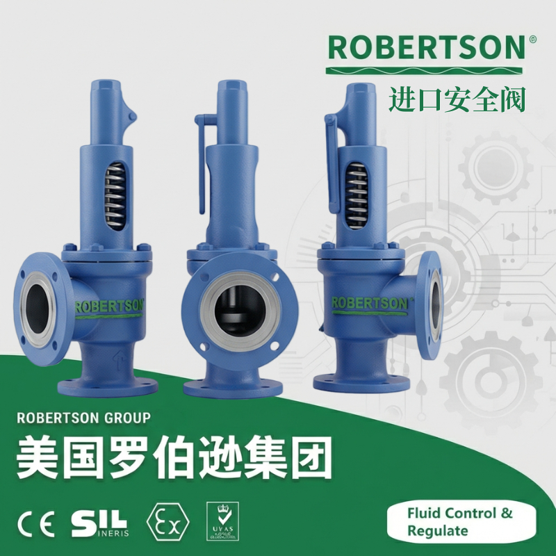 进口安全阀-美国罗伯逊ROBERTSON