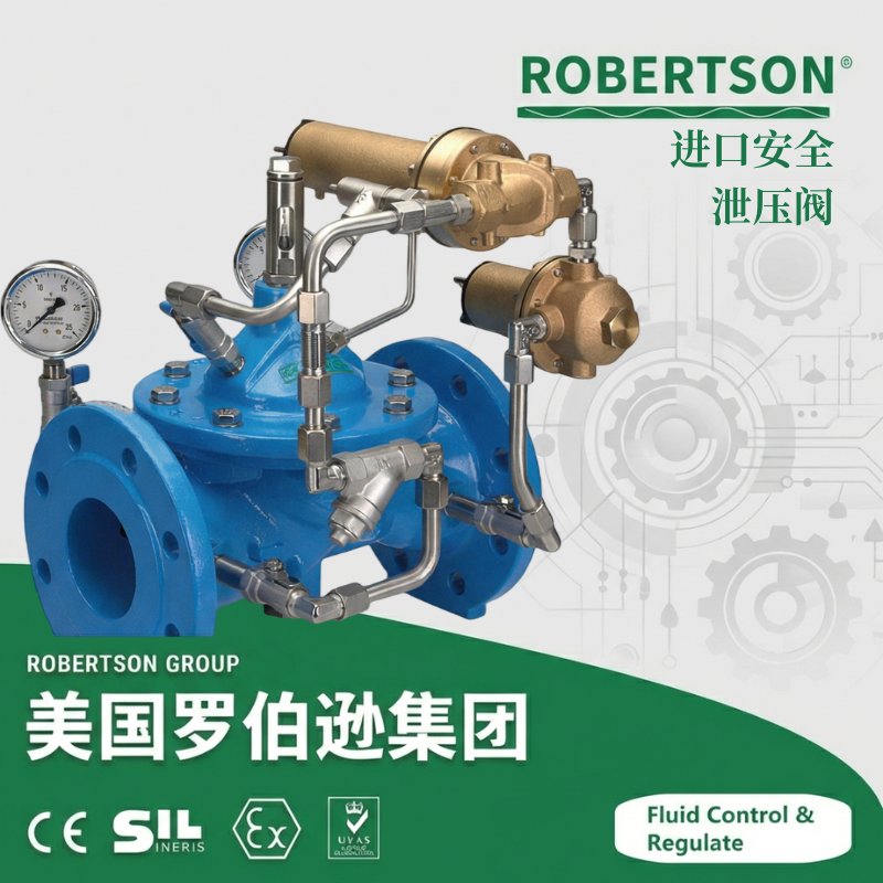 进口安全泄压阀-美国罗伯逊ROBERTSON