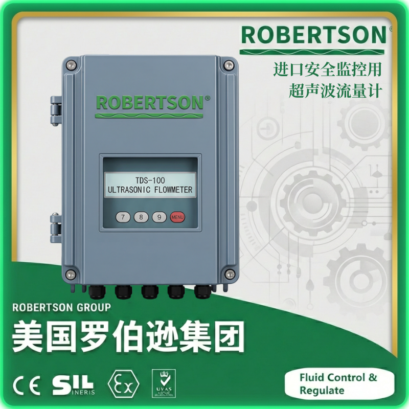 进口安全监控用超声波流量计-美国罗伯逊ROBERTSON