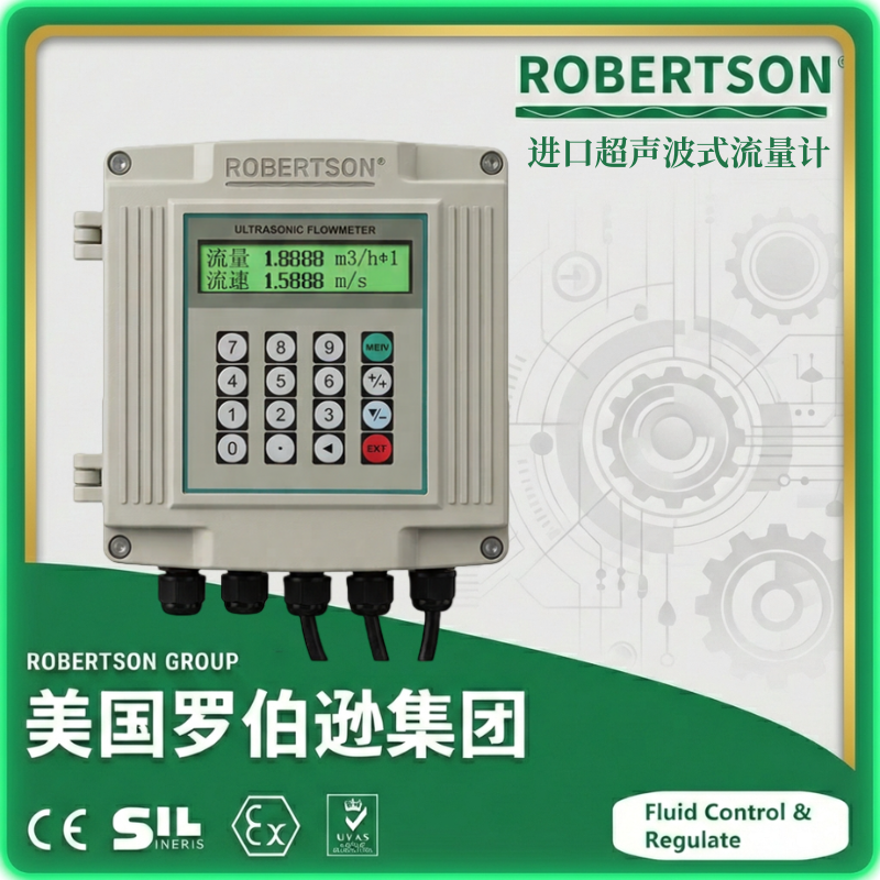 进口超声波式流量计-美国罗伯逊ROBERTSON