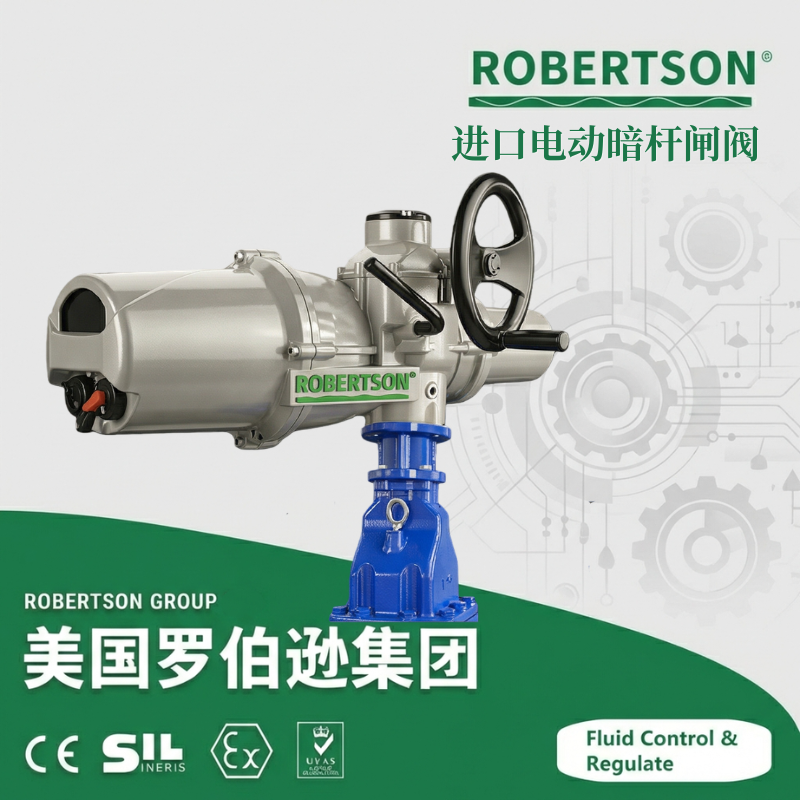 进口电动暗杆闸阀-美国罗伯逊ROBERTSON