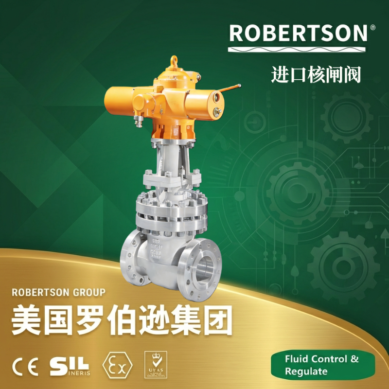 美国罗伯逊ROBERTSON进口核闸阀：全面解析与应用指南