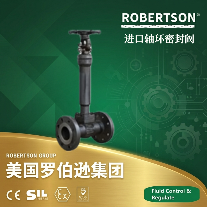 美国罗伯逊ROBERTSON进口轴环密封闸阀：全面解析与应用指南