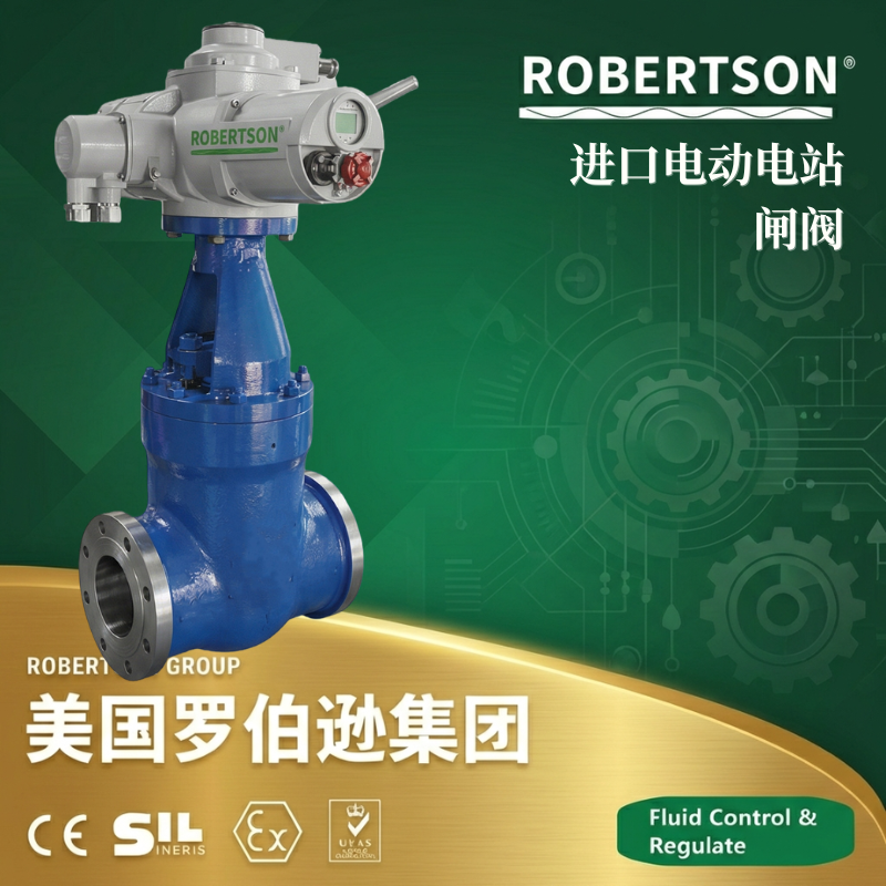 美国罗伯逊ROBERTSON进口电动电站闸阀：全面解析与应用指南