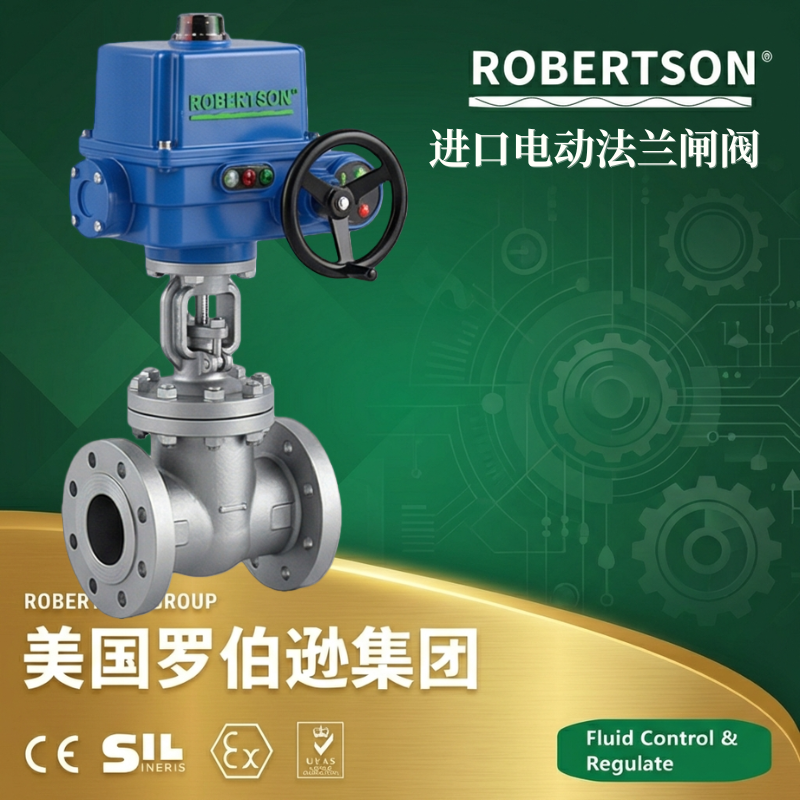 美国罗伯逊ROBERTSON进口电动法兰闸阀：全面解析与应用指南