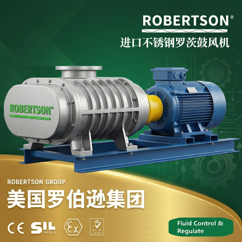 美国罗伯逊ROBERTSON进口不锈钢罗茨鼓风机：全面解析与应用指南
