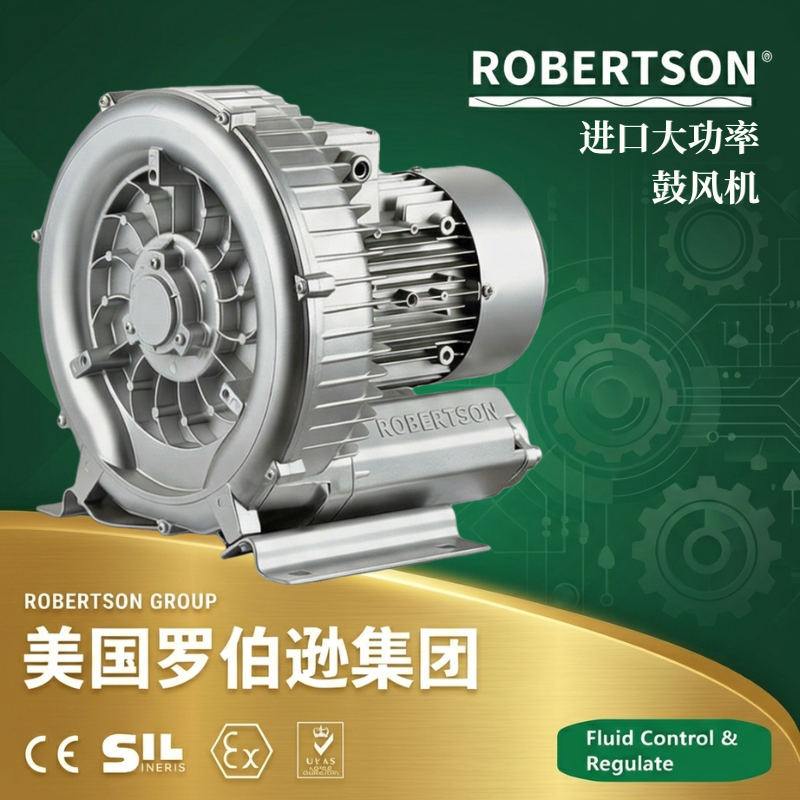 美国罗伯逊ROBERTSON进口大功率鼓风机：全面解析与应用指南