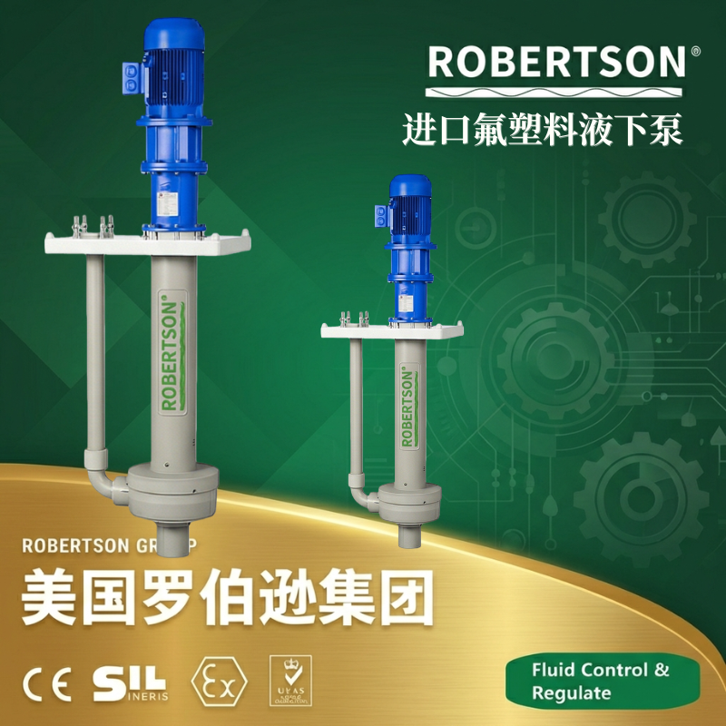 美国罗伯逊ROBERTSON进口氟塑料液下泵：全面解析与应用指南