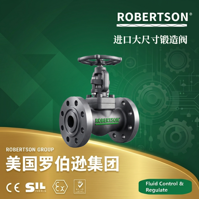 美国罗伯逊ROBERTSON进口大尺寸锻造球阀：全面解析与应用指南